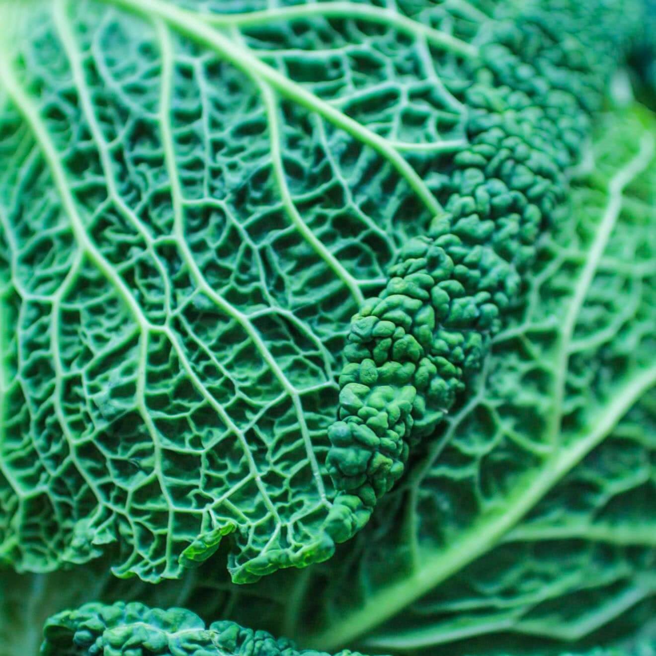 Explore Our New Organic Online Store for Premium Food